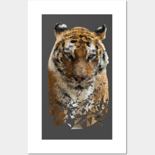 Low Poly Tiger Posters and Art